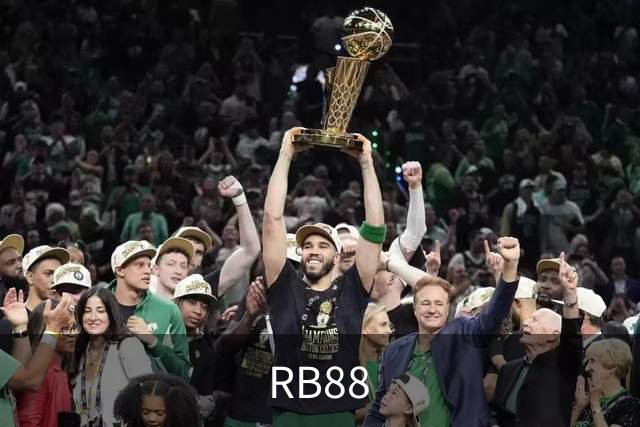 RB88公司简介图片